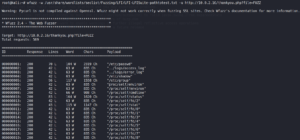 8. Identifying LFI over fuzzing